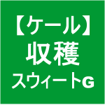 【ケール４６】 収穫／スウィートグリーン☆( ﾟ∀ﾟ)ﾉ