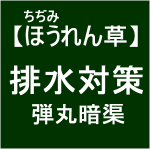 【寒締めほうれん草2】排水対策(´・＿・｀)