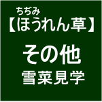 【寒締めほうれん草7】雪菜の調整作業を見学した(ﾟ∀ﾟ)
