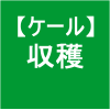 【ケール43】 収穫／2015年のジューシーグリーン初出荷 (つ∀｀*)
