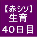 【赤シソ27】 定植後40日　(・ω・｀)
