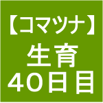 【小松菜7】 生育／播種後40日(´ﾟωﾟ｀)